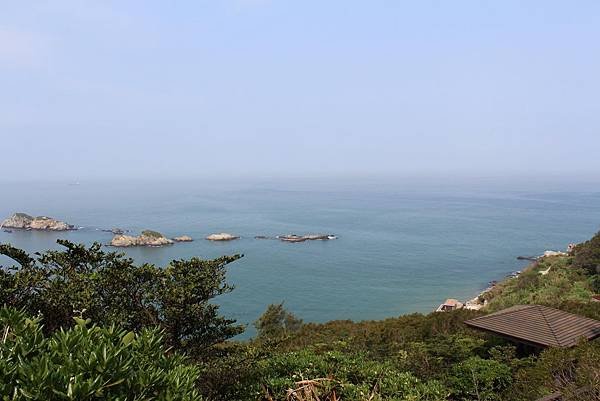 IMG_2539-