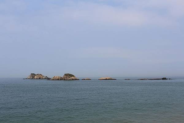 IMG_2557-