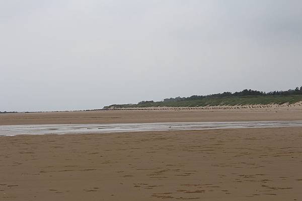 IMG_6551-