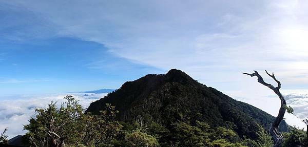 IMG_4649_stitch-