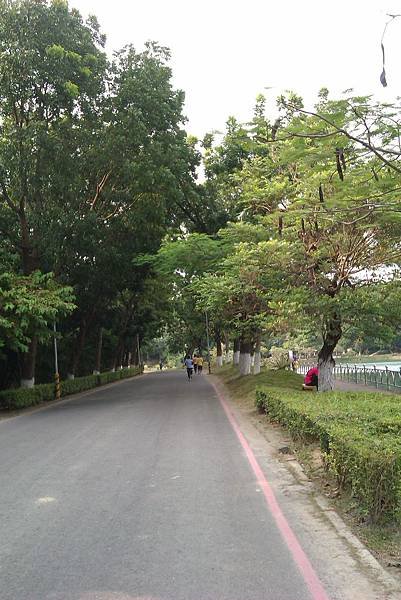 IMAG4333