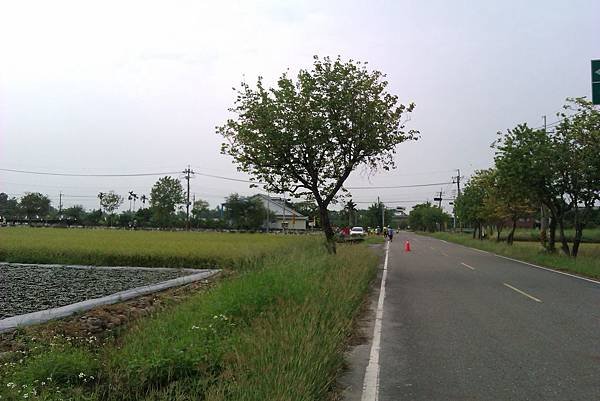 IMAG6379