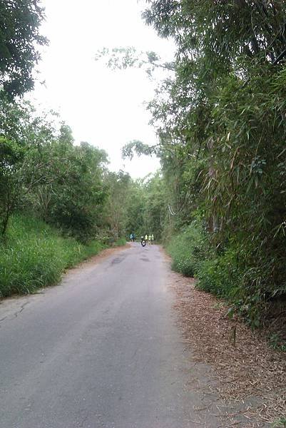 IMAG6399