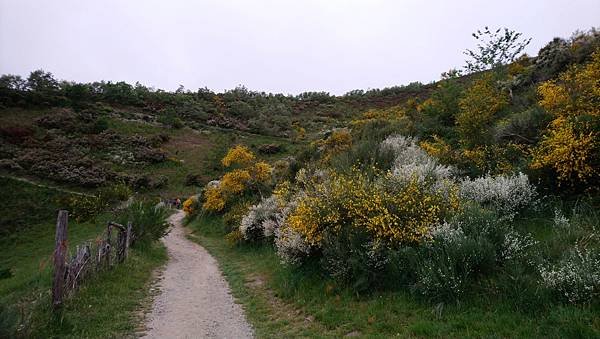 DSC_2677.jpg