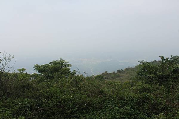 IMG_0900.jpg