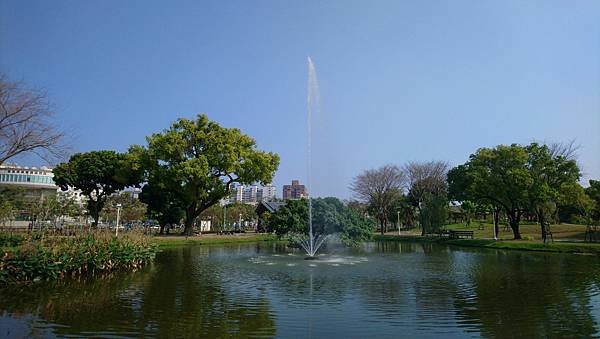 DSC_0766.jpg