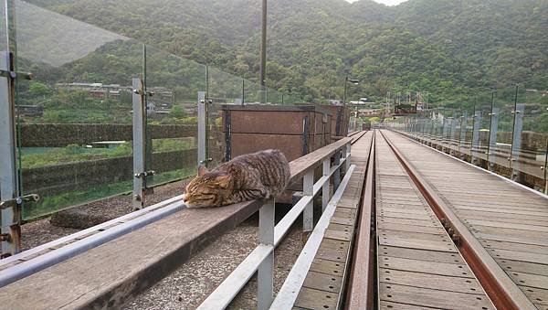 慢遊，這一站：21. 2021年鐵道環島行_Day 5. 平