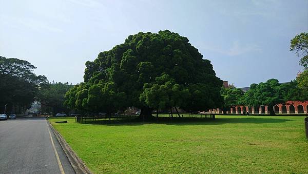 跟著書本去旅行 50. 返校：成大校園