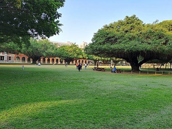 跟著書本去旅行 50. 返校：成大校園