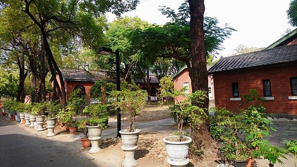 跟著書本去旅行 50. 返校：成大校園