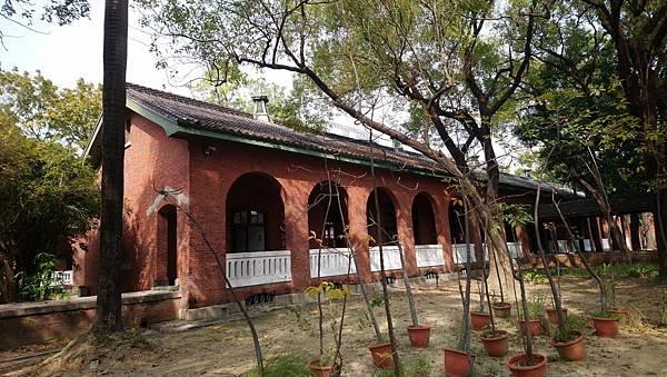 跟著書本去旅行 50. 返校：成大校園