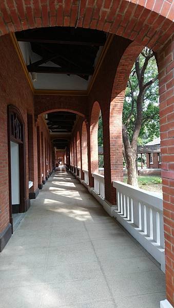 跟著書本去旅行 50. 返校：成大校園