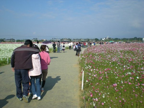 85.bmp