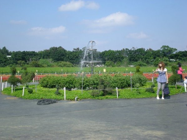 40.jpg