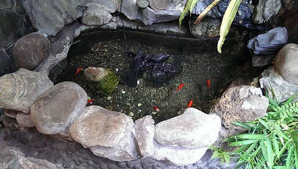 IMAG0866.jpg