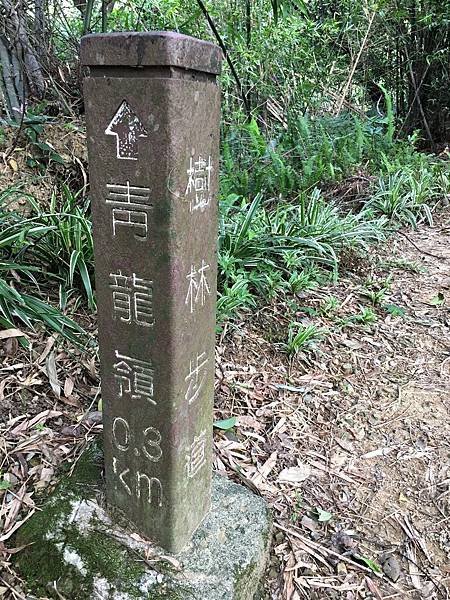 IMG_3880.JPG