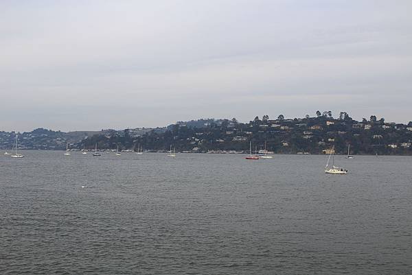 IMG_0218.JPG