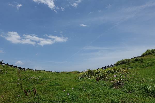 DSC05142.JPG