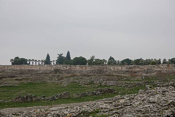 DSC05742.JPG