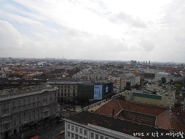 P1040940.jpg