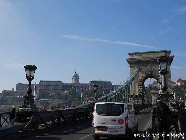P1050029.jpg