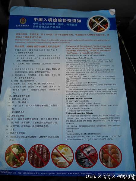 P1070099.jpg