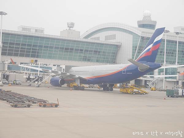 P1100645.jpg