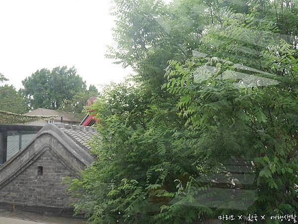 P1120505.jpg
