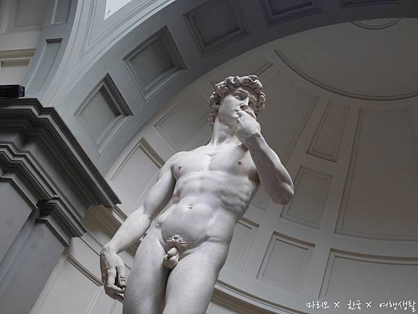 P1130517.jpg