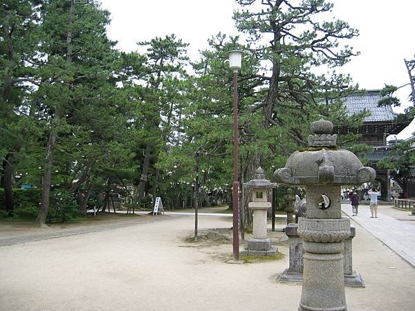 sIMG_7239.JPG