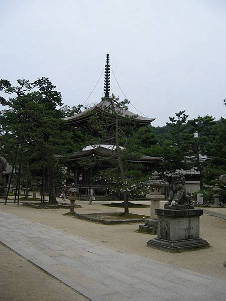 sIMG_7240.JPG
