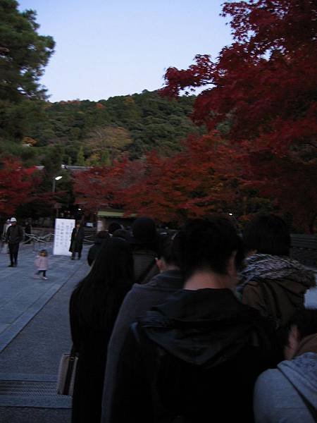 sIMG_9531.JPG