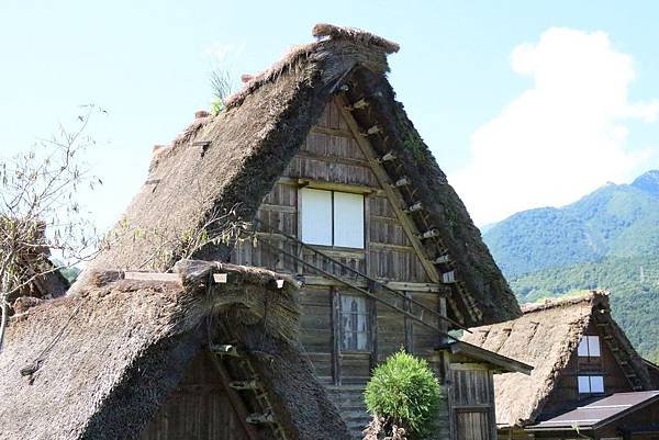 sIMG_0630.JPG
