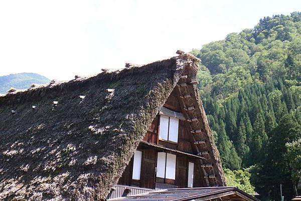 sIMG_0634.JPG