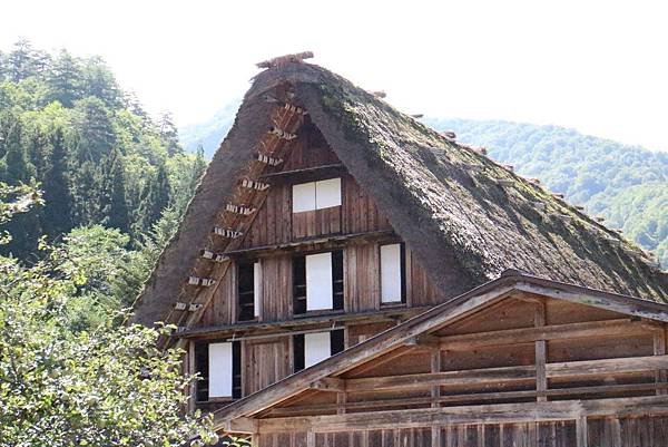 sIMG_0660.JPG