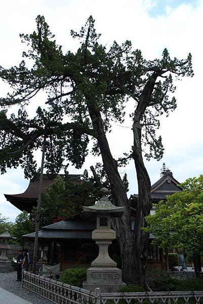 sIMG_1510.JPG