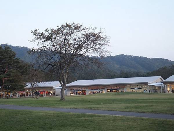 sDSCF2228.JPG