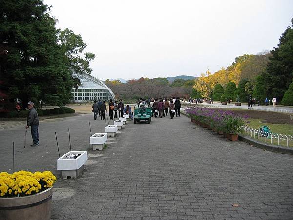 sIMG_0090.JPG