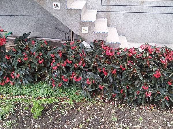 s20150321_114254.JPG