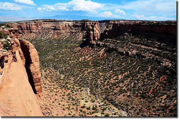 Looking down into the canyon from Canyon Rim Trail 1