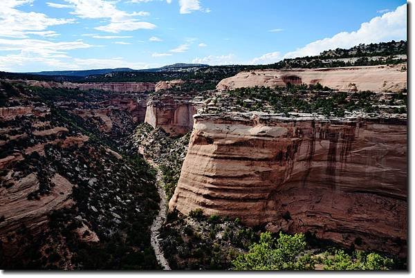 Looking up Ute Canyon 1