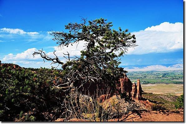 Taken from Otto&apos;s Trail Trail