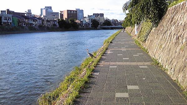 100719_174555.JPG