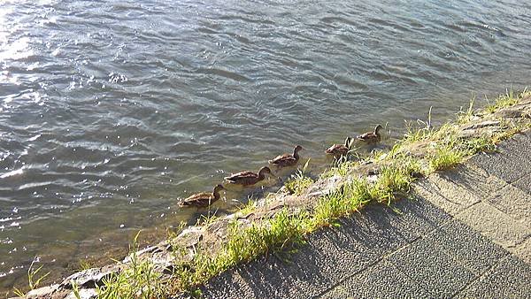 100719_174515.JPG