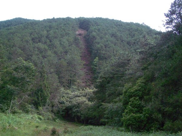 轉貼相關新聞:即日起開放大小劍登山路線之入園申請