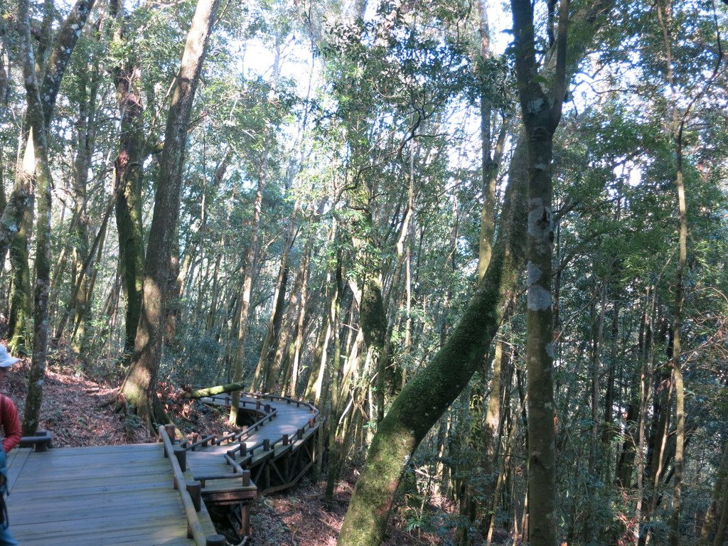 1050326雪霸國家公園之雪見遊憩區(下集)