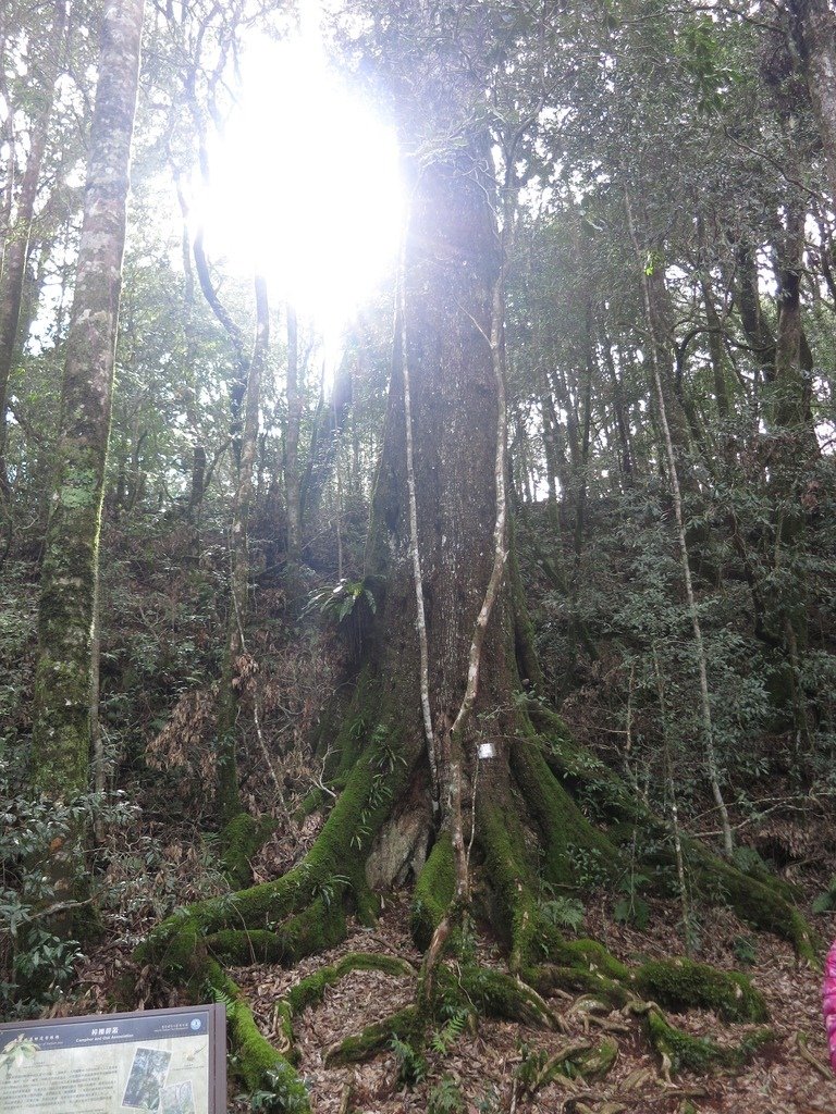 1050326雪霸國家公園之雪見遊憩區(下集)