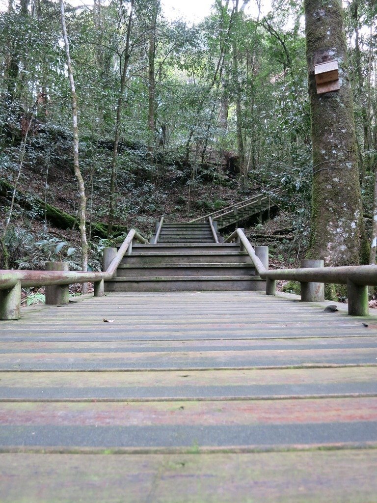 1050326雪霸國家公園之雪見遊憩區(下集)