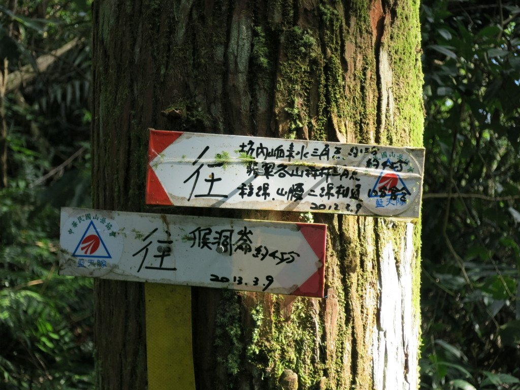 1041222新店大粗坑山、猴洞崙、坑內山、翡翠谷山連走~尋