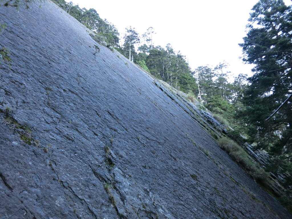 1040731玉山主峰一日單攻~(二二六鐵人)